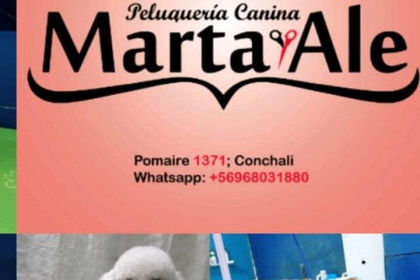 Peluquería canina Marta y Ale